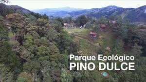 Pino Dulce Parque Ecologico En Jalapa Guatemala Youtube