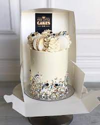 Posh Little Cakes On Instagram One Of My Little Joys Is Mixing My Own Sprink Birthday Cakes Pretty Birthday Cakes Tiered Cakes Birthday Succulent Cake