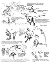 Raptor Tutorial By Droemar On Deviantart Dinosaur Drawing Dinosaur Sketch Velociraptor Drawing