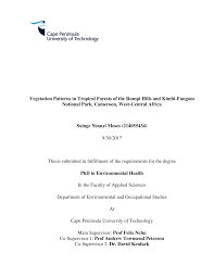 Image result for Rhabdophyllum affine