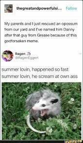 Thegreatandpowerfulsi Foltow My Parents And I Just Rescued An Opossum From Our Yard And I Ve Named Him Danny After That Guy From Grease Because Of This G Memes Stupid Memes