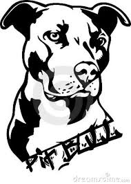 Black And White Pitbull Tattoos Pin On Silhouetts