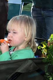 Scenes from the sixth Sitka Farmers Market of the 2017 summer