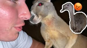 Texas man quits sales job and opens up urban ranch in his own backyard