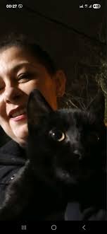 Prelep život sa mojom Mačkom 😻💖 TORY MENTS WA W 当そ郎二 二き路そ六ょ ስ I CARRIED  PUMPKIN TO GRADUATION- GRADUATION-21YEA