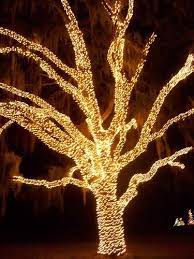 Christmas Lights Christmas Lights Outdoor Trees Decorating With Christmas Lights Outdoor Christmas Lights