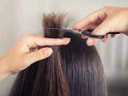 By visiting any best hair salons near me options will help you decide better what style hair cut near me haircut close to me haircut near me haircut places near me haircuts. Hair Dusting Medusa Australia