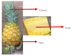Maybe you would like to learn more about one of these? Foods Free Full Text Potentially Bioactive Metabolites From Pineapple Waste Extracts And Their Antioxidant And A Glucosidase Inhibitory Activities By 1h Nmr Html