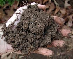 Maybe you would like to learn more about one of these? Amend Fall Garden Soil For More Vegetables Flower Blooms Caes Newswire