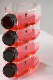 We did not find results for: Tissue Culture Wikipedia