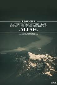 Everyday low prices and free delivery on eligible orders. Top 5 Best Law Of Attraction Books Islamic Quotes Quran Islamic Inspirational Quotes Beautiful Islamic Quotes