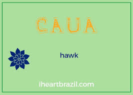 If you want to give your new son a timeless and traditional name, choose from john and james, or joey and jordan. 100 Brazilian Boy Names With Meanings I Heart Brazil