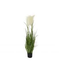 Pianta vaso su uno sfondo bianco. Pianta Artificiale Erba Pampas Con Fiori Bianchi