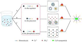 Maybe you would like to learn more about one of these? Biomolecule Assisted Green Synthesis Of Nanostructured Calcium Phosphates And Their Biomedical Applications Chemical Society Reviews Rsc Publishing