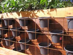 Amay13 121 Jpg 1600 1200 Vertical Herb Garden Vertical Garden Diy Vertical Herb Gardens