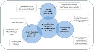 In some cases a social enterprise may even spawn a profitable business. Social Enterprise Crowdfunding In An Acute Crisis Sciencedirect