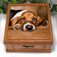 Buy pet ashes urns and get the best deals at the lowest prices on ebay! Laser Engraved Pet Urns Dog Cat 5x5 Pet Urns Pet Urns Dogs Dog Urns