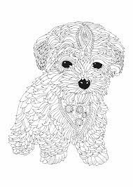 Zo hebben wij kleurplaten van een teckel of een labrador. Schattige Tekeningen Moeilijk Coloring And Drawing