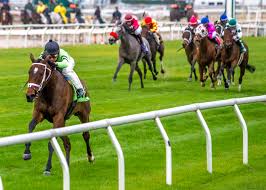 Expert Horse Racing Handicapping