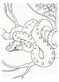 Ausmalbilder Zum Ausmalen Malvorlagen Schlange Kostenlos 2 Snake Coloring Pages Animal Coloring Pages Horse Coloring Pages