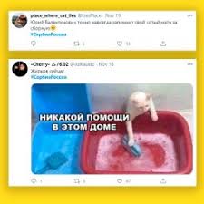 Мы хотим, чтобы друзья, однокурсники, одноклассники, соседи и коллеги всегда. Mem Zhirkov I Sbornaya Zheltaya Poyasnitelnaya Brigada