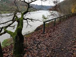 What's not on in bristol! Leigh Woods Circular Friday Route Recommendation