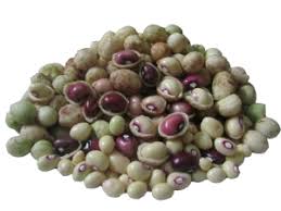 Kacang adalah makanan yang memiliki rasa enak dan juga gurih. Kacang Bogor Manfaat Efek Samping Dan Tips Penyimpanan Idn Medis