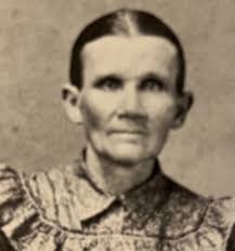 Mary Elizabeth Schafer Anderson (1849-1929)