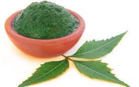 Biarkan mendidih hingga air tinggal sisa satu. 5 Manfaat Daun Neem Obat Alami Untuk Banyak Masalah Kulit Otc Digest