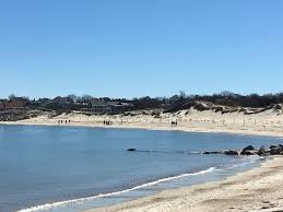 Maybe you would like to learn more about one of these? The Best Cape Cod Pet Friendly Vacation Rentals Tripadvisor Book Pet Friendly Vacation Rentals In Cape Cod