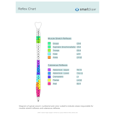 Reflex Chart