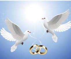 Tidakkah pelepahnya nanti habis dibaham apinya sendiri? Merpati Pada Cincin Menjuntai Dari Vektor Tauben Hochzeit Hochzeit Vektorfrei
