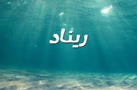 صور اسم سلأ صورة
