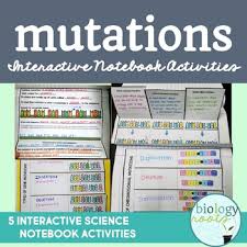 Large mutation frequency indicates a large genome. Chromosomal Mutations Worksheets Teaching Resources Tpt