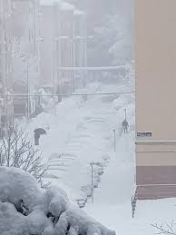 Eccezionale tempesta di neve a madrid: Nkjeyycpc6oqrm