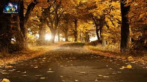 En medio de un domingo para olvidar, queda una noticia positiva. Musica Celta Ajuda A Tranquilizar Equilibrar As Energias Focar Atencao Autumn Scenery Autumn Scenes Scenery