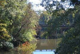 A View Of The Bogue Falaya River And Bridge Coming Into Covington Photo Taken By Suzette Simoneaux Covington Louisiana Lake Pontchartrain Beautiful Nature