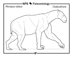 Discover dinosaur coloring pages preschool art groups, easy volcano clipart king dinosaur tyrannosaurus rex coloring book activities for 14. Prehistoric Life Coloring Book Fossils And Paleontology U S National Park Service