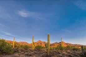 This property is not currently available for sale. Custom Home Gallery Scottsdale Phoenix Sonora West