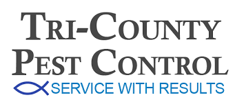 Bed bugs are prolific little pests. Contact Us Tri County Pest Control Tupelo Ms