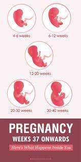 Pin On New Mother S Care