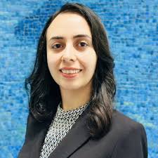 Generating a lines plan in 0.1/sec