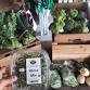 Farm Stand in The Grange event image