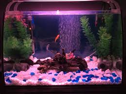 My 60 Lt Fresh Water Tank Fresh Water Tank Reef Aquarium Water Tank