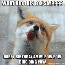 What Did This Fox Say Happy Birthday Ami Pow Pow Ding Ding Pow What Does The Fox Say Meow Meme Generator