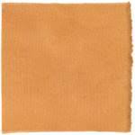 Image result for Pycnoporellus alboluteus