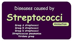 Image result for Group D Streptococcus