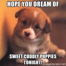 According to miller, if you happened to see a dog with puppies in a dream, this means easy and even pleasant chores. Hope You Dream Of Sweet Cuddly Puppies Tonight Cute Puppy Meme Generator