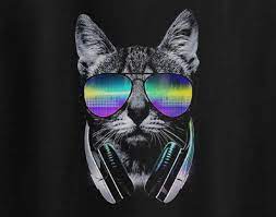 1920x1080 anime pokemon 1920x1200 animal black computer desktop dog pc puppy cat Cool Cat Check Meowt Got To Be Kitten Meow Real Men Love Cats Tee T Shirt Kjaerlighet