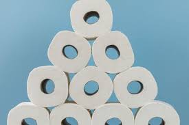 Stock up on toiletries online for convenient, doorstep delivery.scott 1000 sheets per roll toilet paper, bath tissue. Rv Toilet Paper Alternatives You Ll Wish You Used Sooner